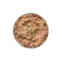 30991000009_media.01.webp
