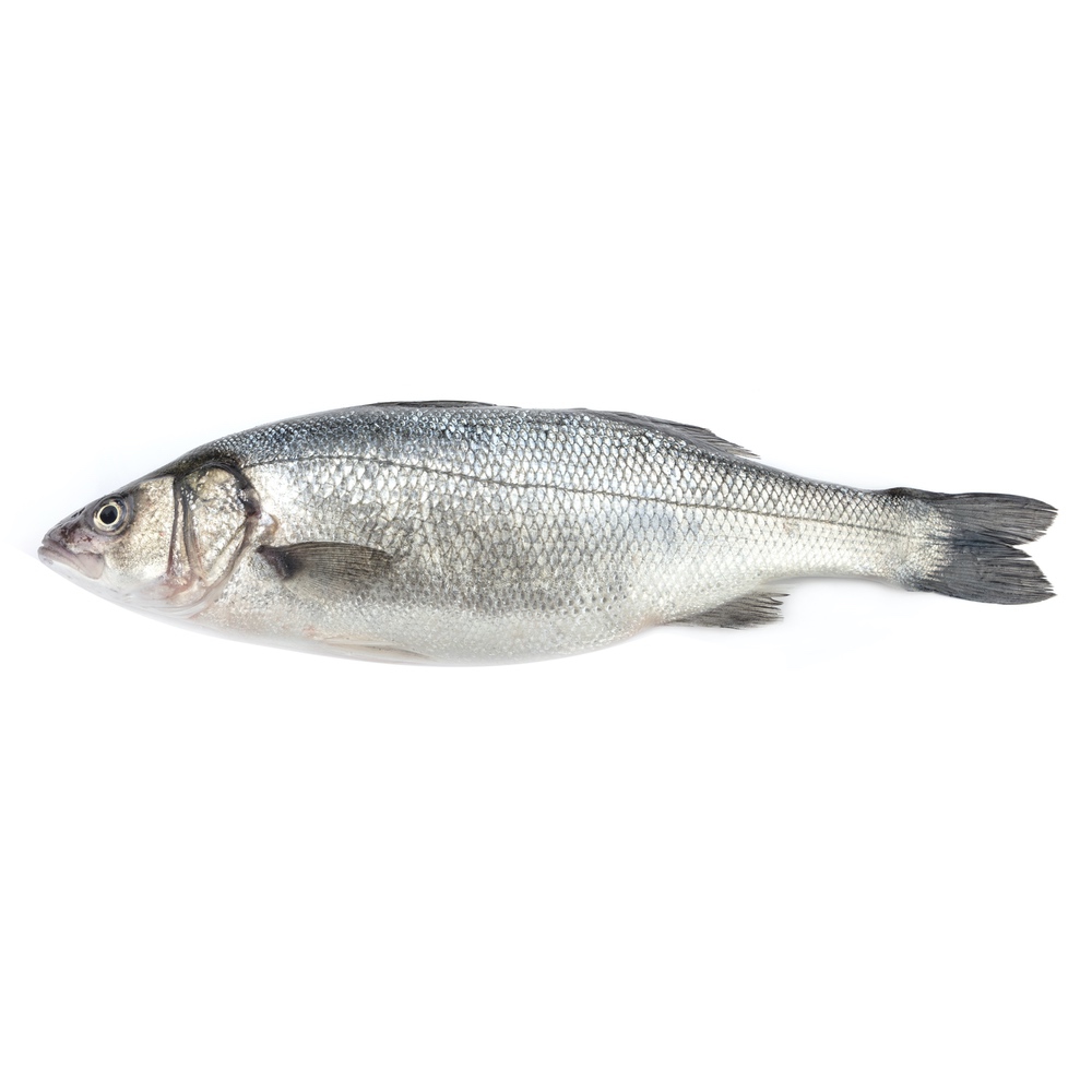 Fresh Cleaned Whole Branzino 1lb