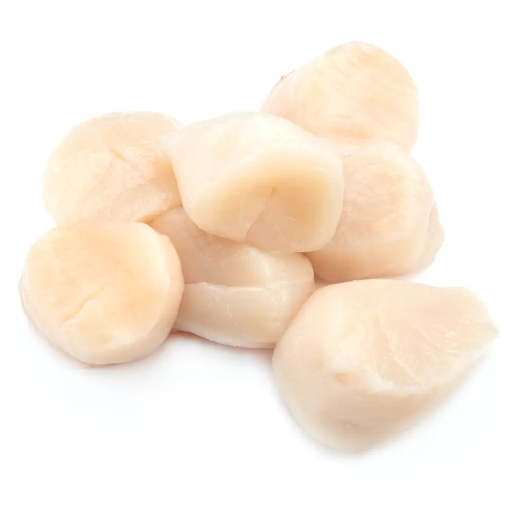 Fresh And Wild Dry Sea Scallops 1lb