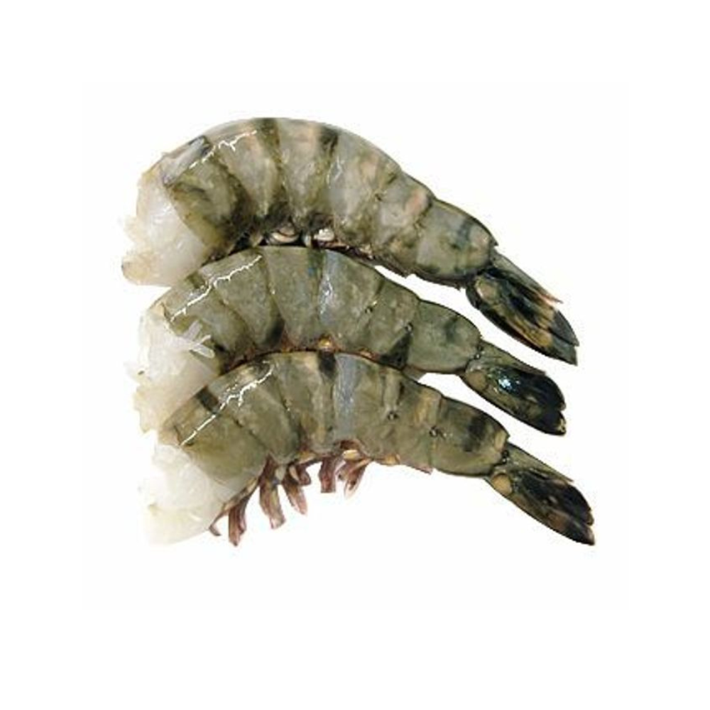 Black Tiger Shrimp 6/8 Pcs 1lb