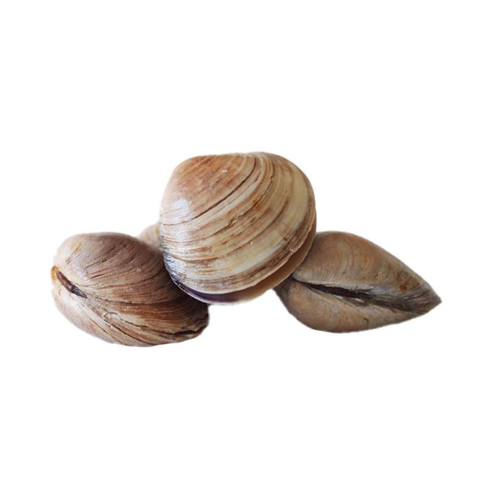 Pusateri's Littleneck Clams 1lb