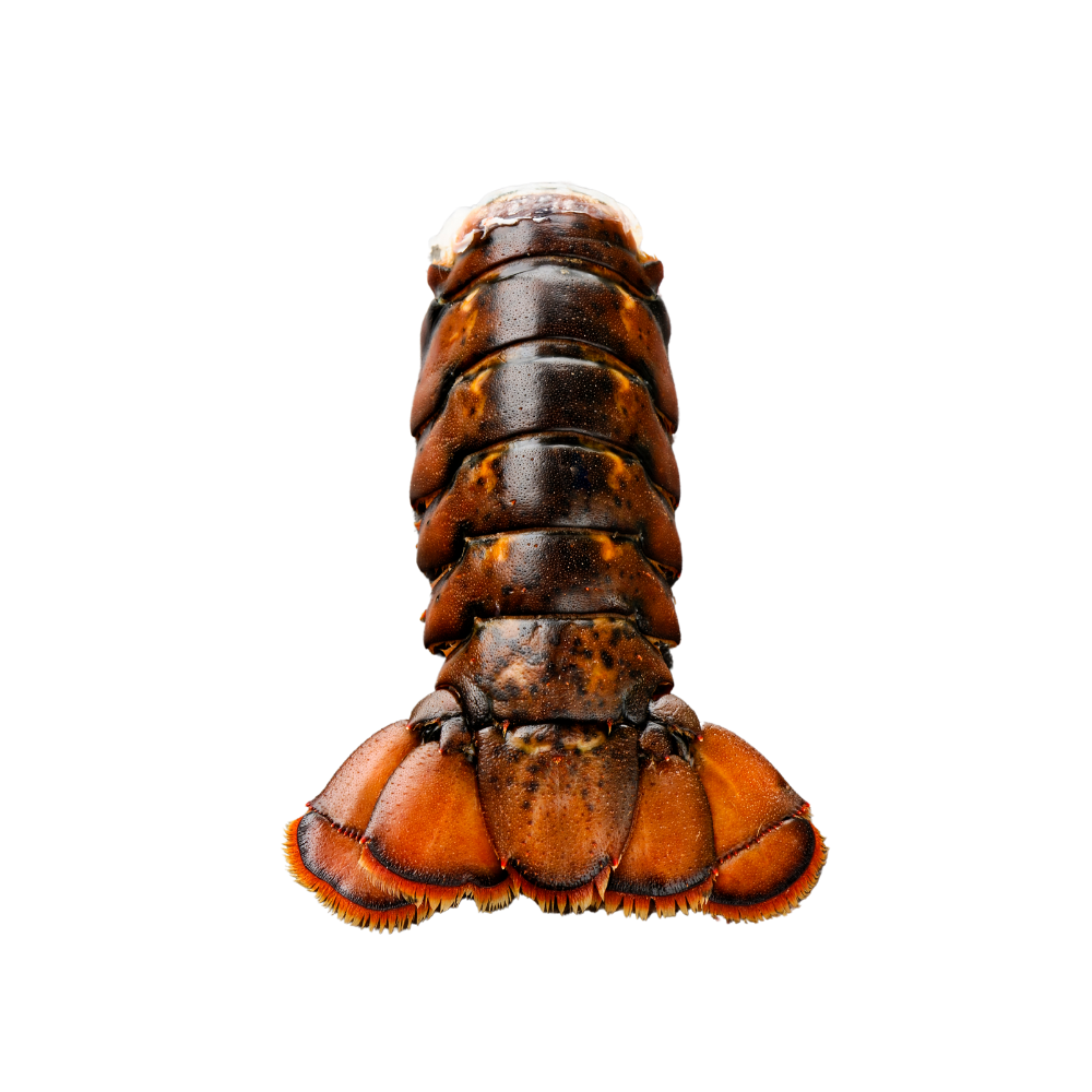 Frozen Lobster Tails 10-12 1lb
