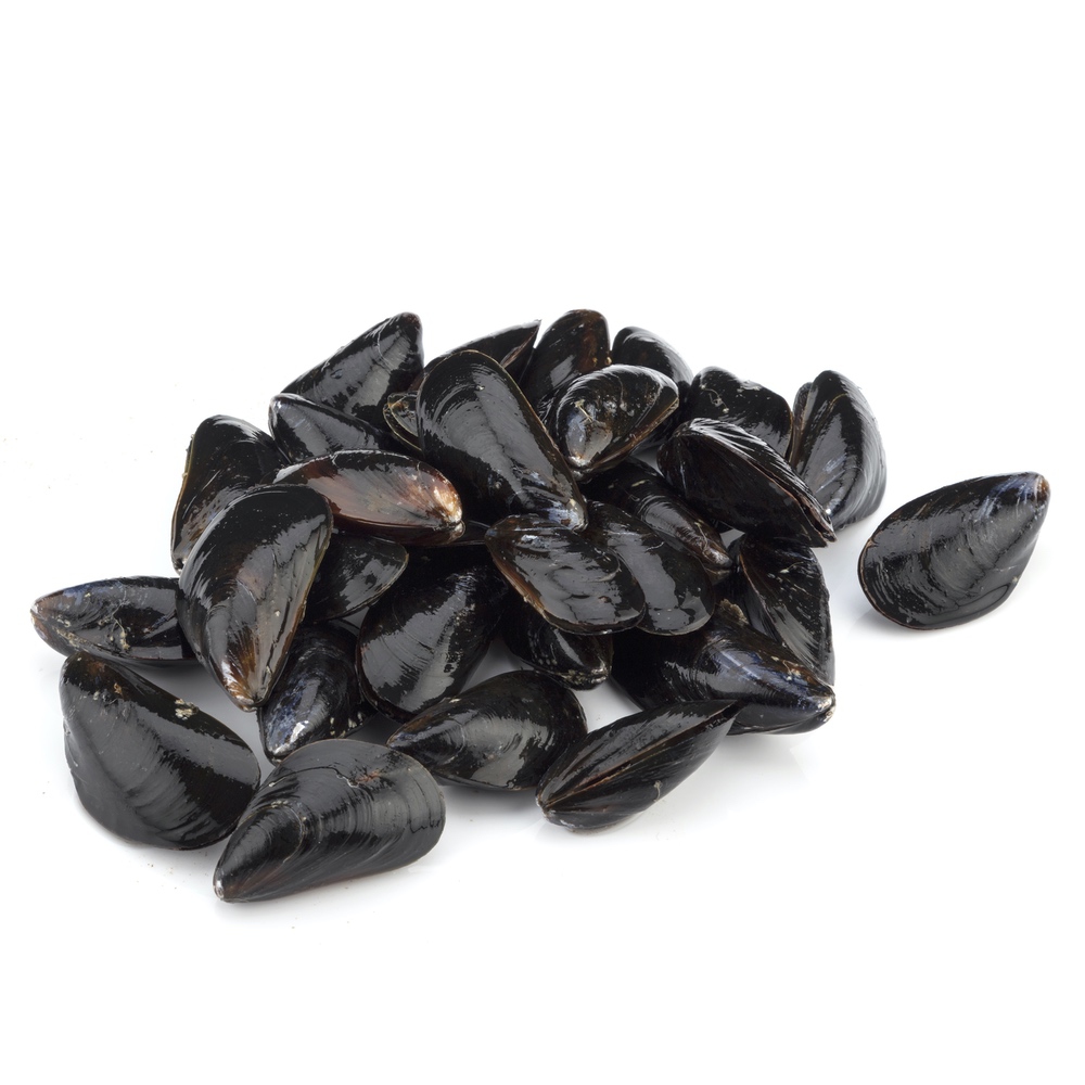 Pei Mussels 1lb