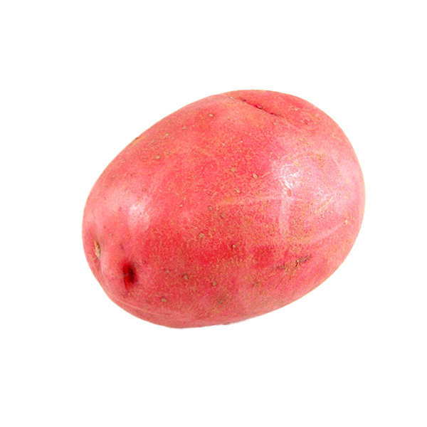 RED POTATO