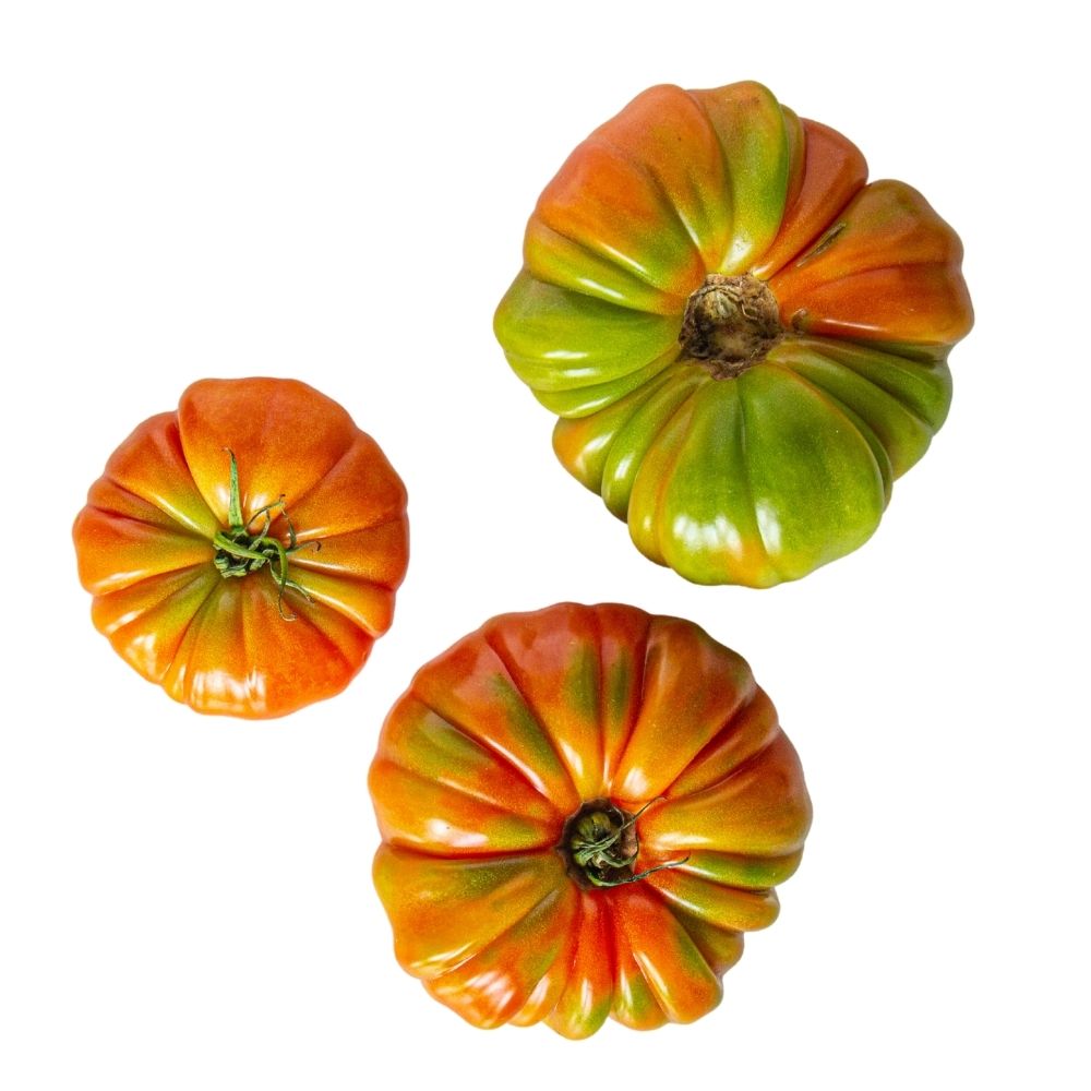 HEIRLOOM TOMATO