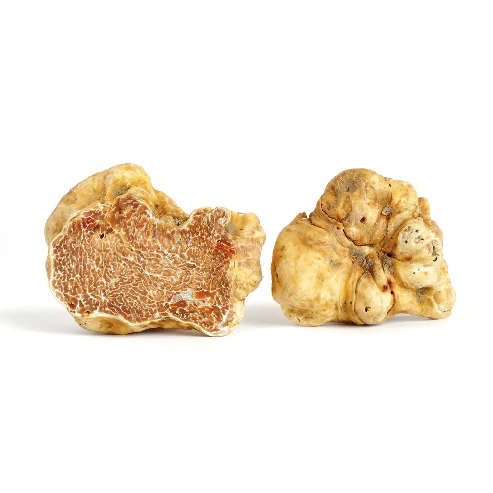Fresh White Truffles (10 g)