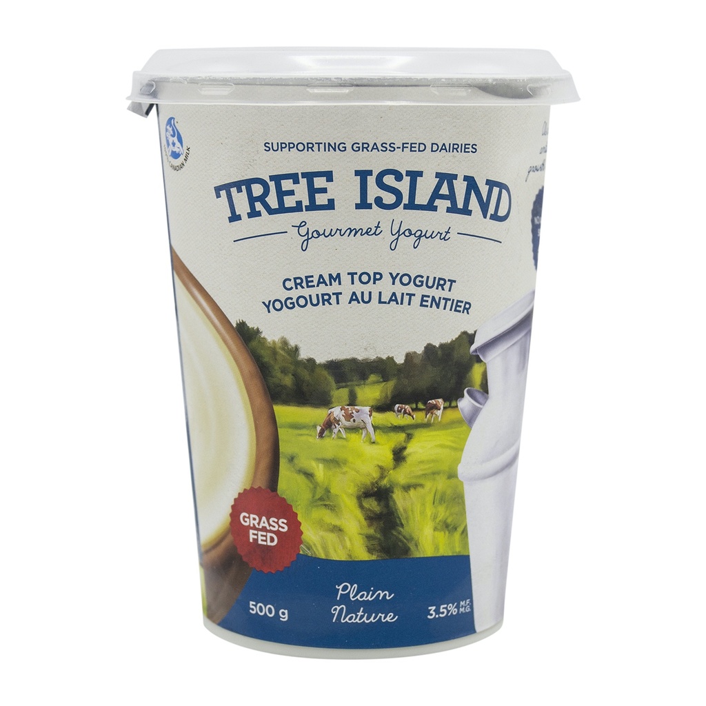 Tree Island 3.5% Plain Cream Top Yogurt 500G