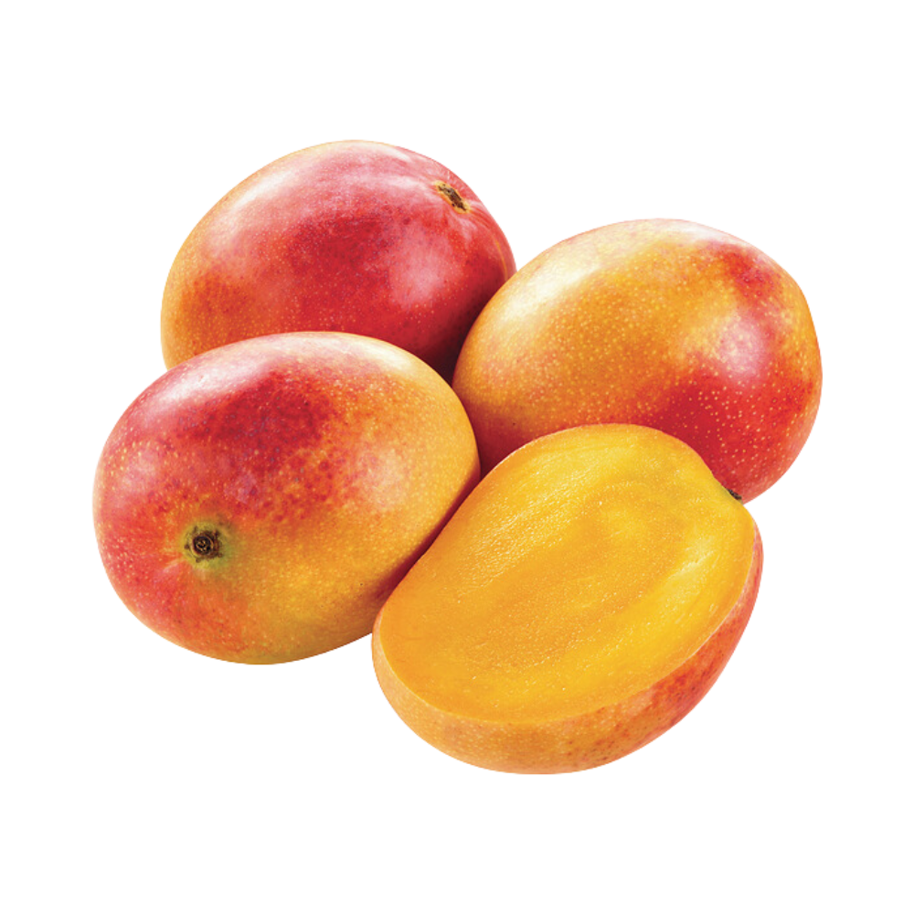 MANGO MAYA