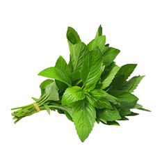 Pusateri's Fresh Mint 0.1lb