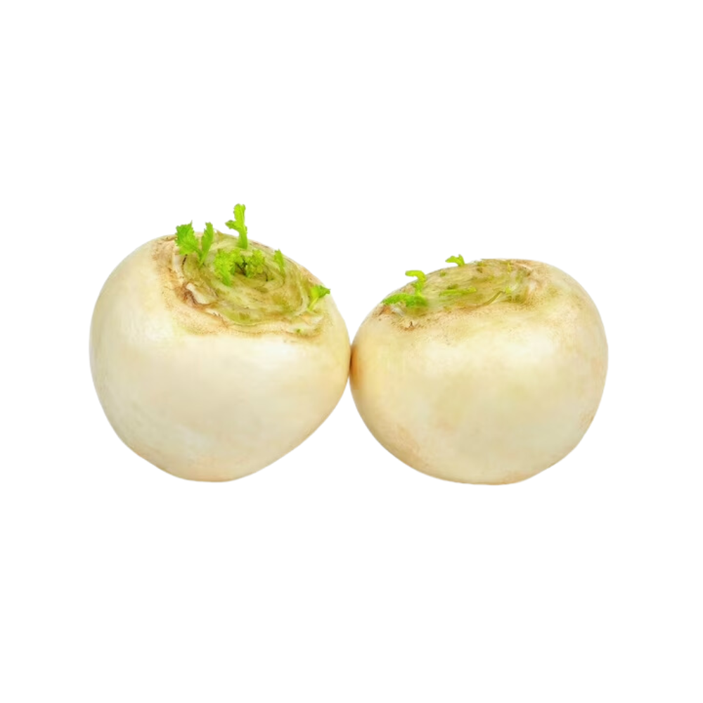 WHITE TURNIP