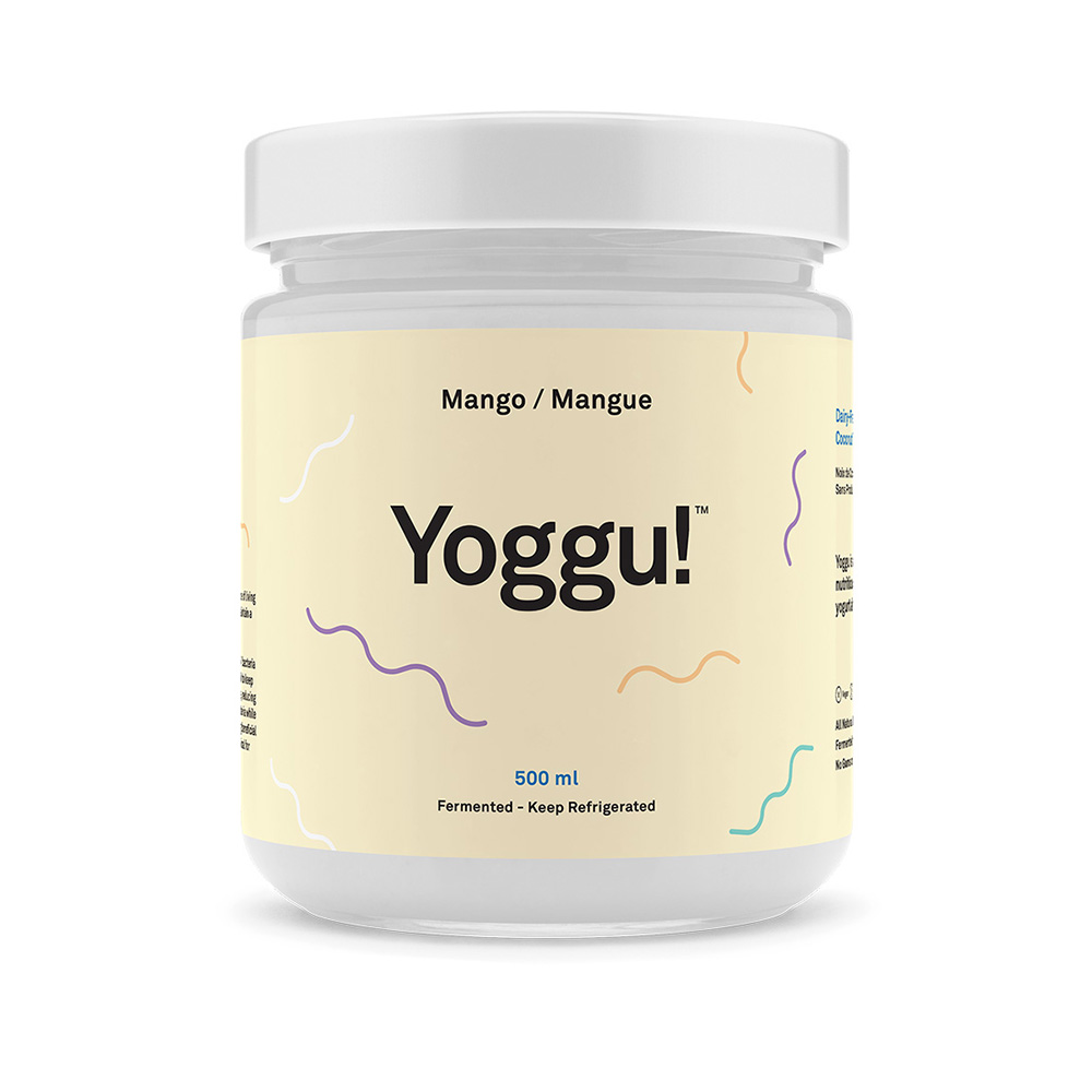 YOGGU MANGO YOGURT 450ML