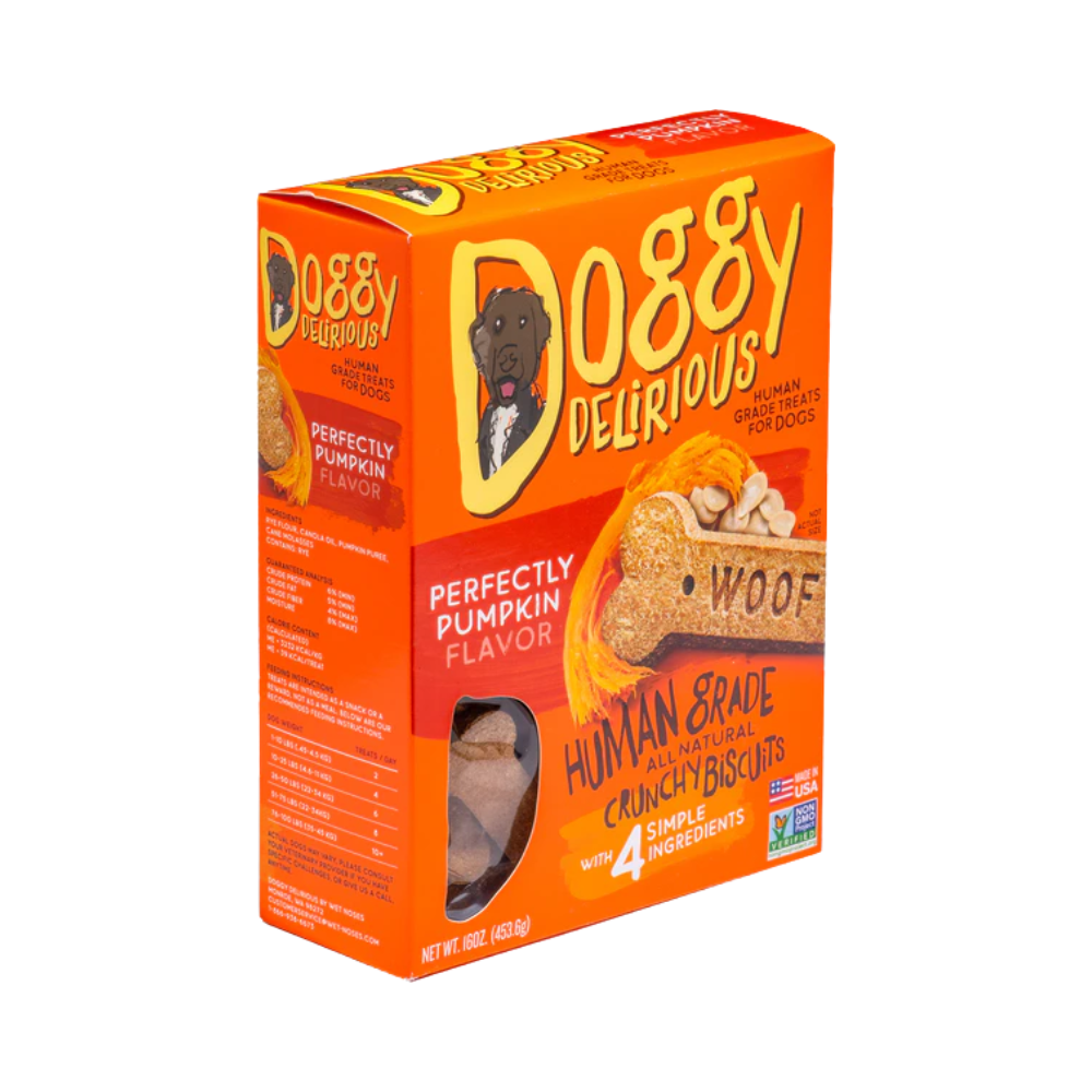 Doggy Delirious Dog Bone Pumpkin 16oz