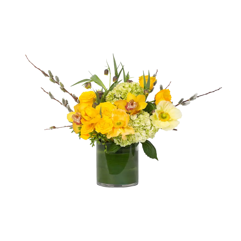 SPRING-INSPIRED - Parent