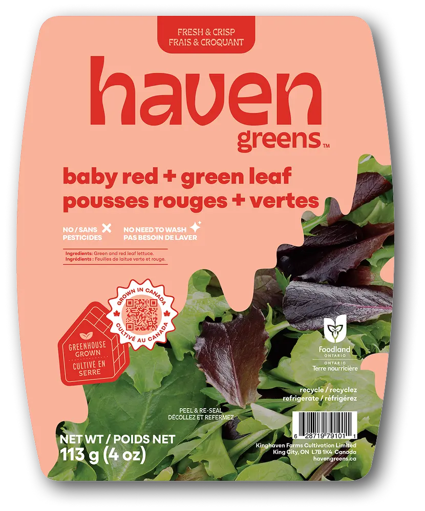 HAVEN GREENS BABY RED & GREEN LEAF 113G
