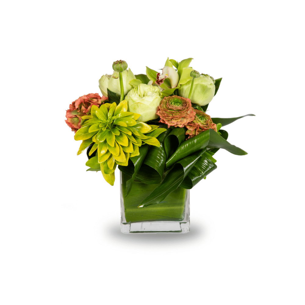 MODERN ARRANGEMENT - Parent