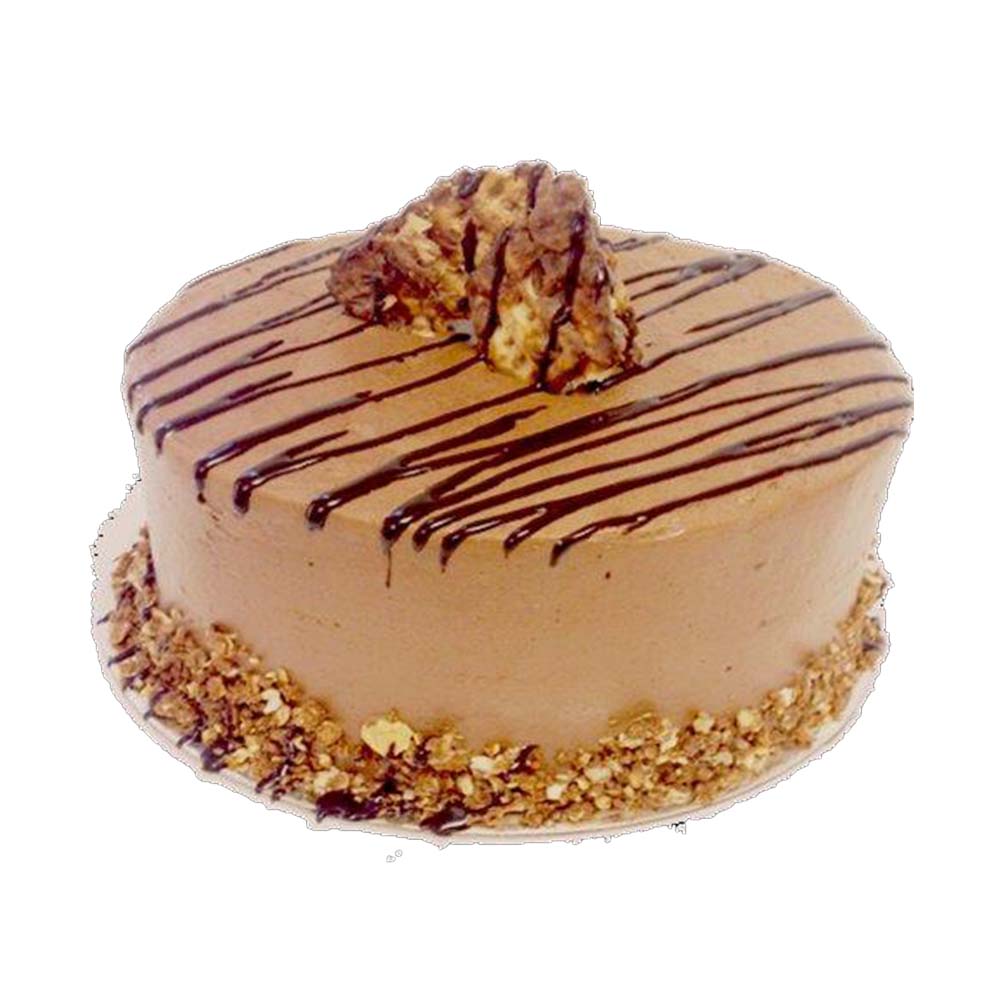 Phipps Chocolate Matza Krunch Cake Medium 1ea