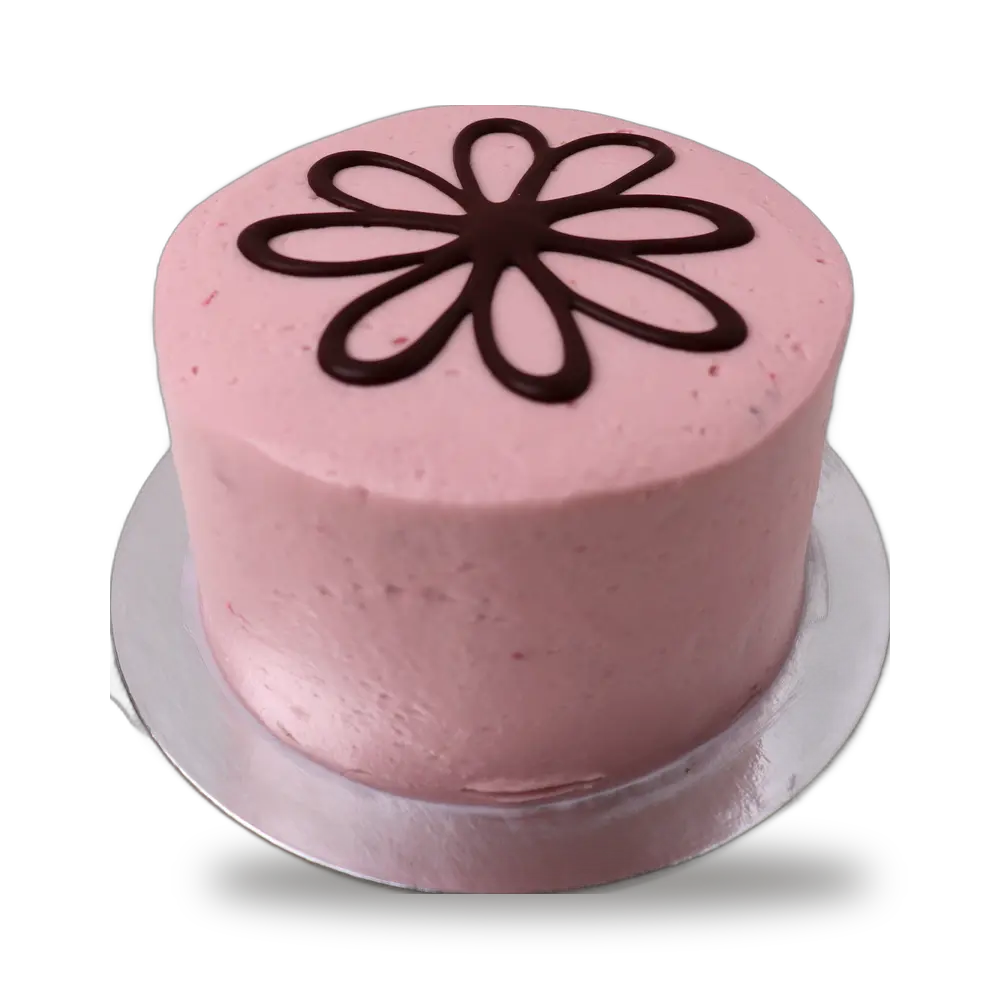 Phipps Chocolate Raspberry Cake Small 1ea