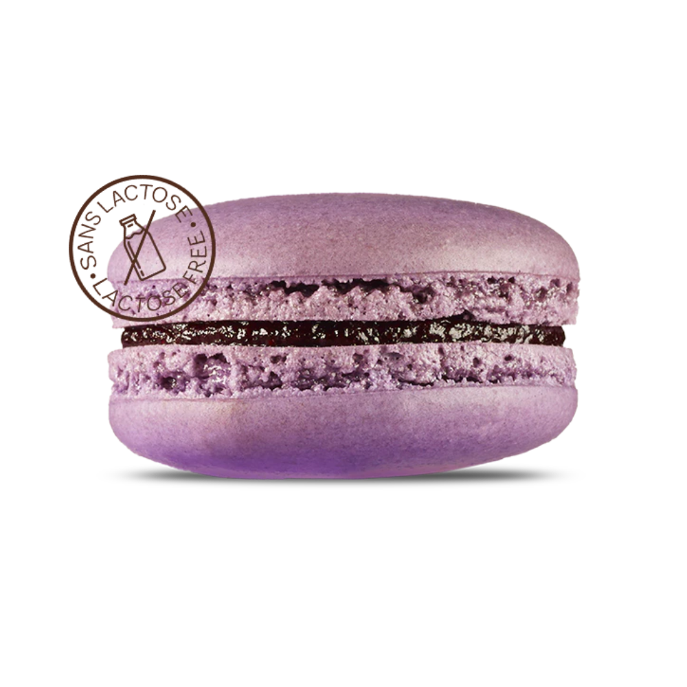 Point G Macaron Blueberry 15G