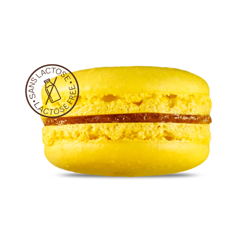 Point G Macaron Lemon 15G