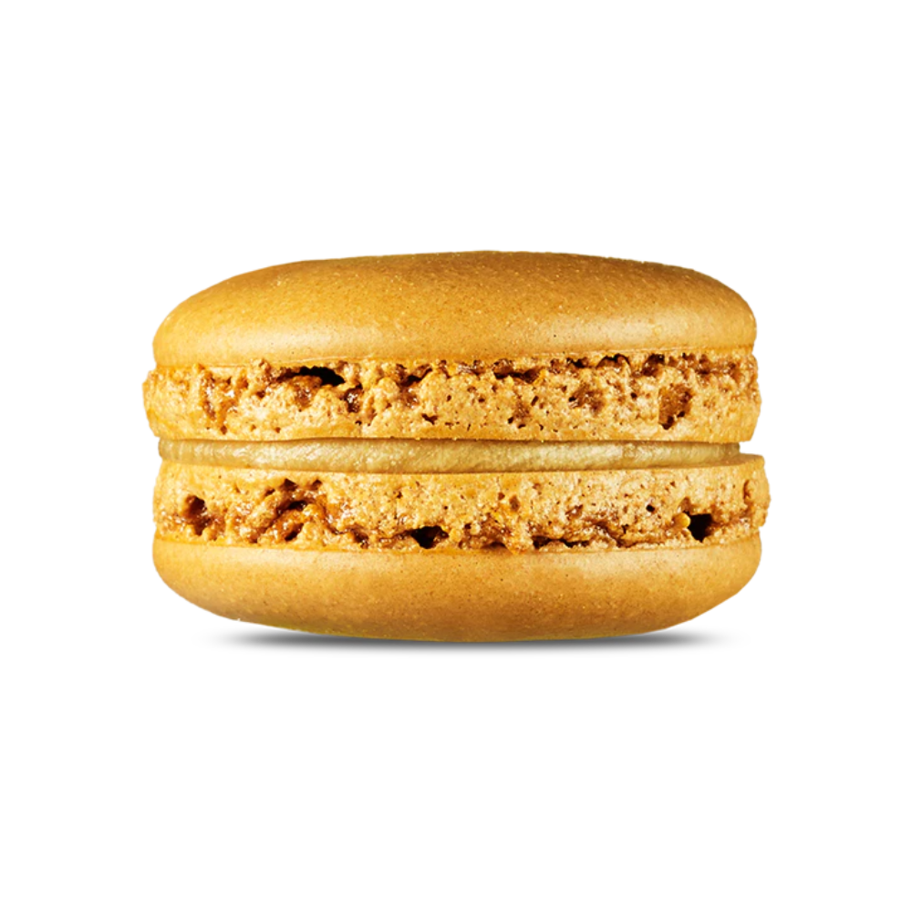 Point G Macaron Maple 15G