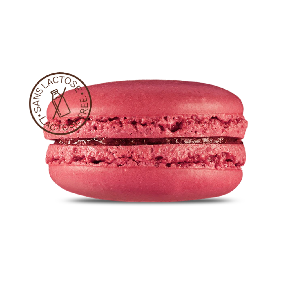 Point G Macaron Raspberry 15G