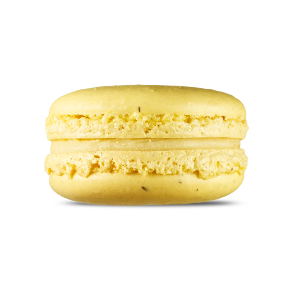 Point G Macaron Vanilla 15G