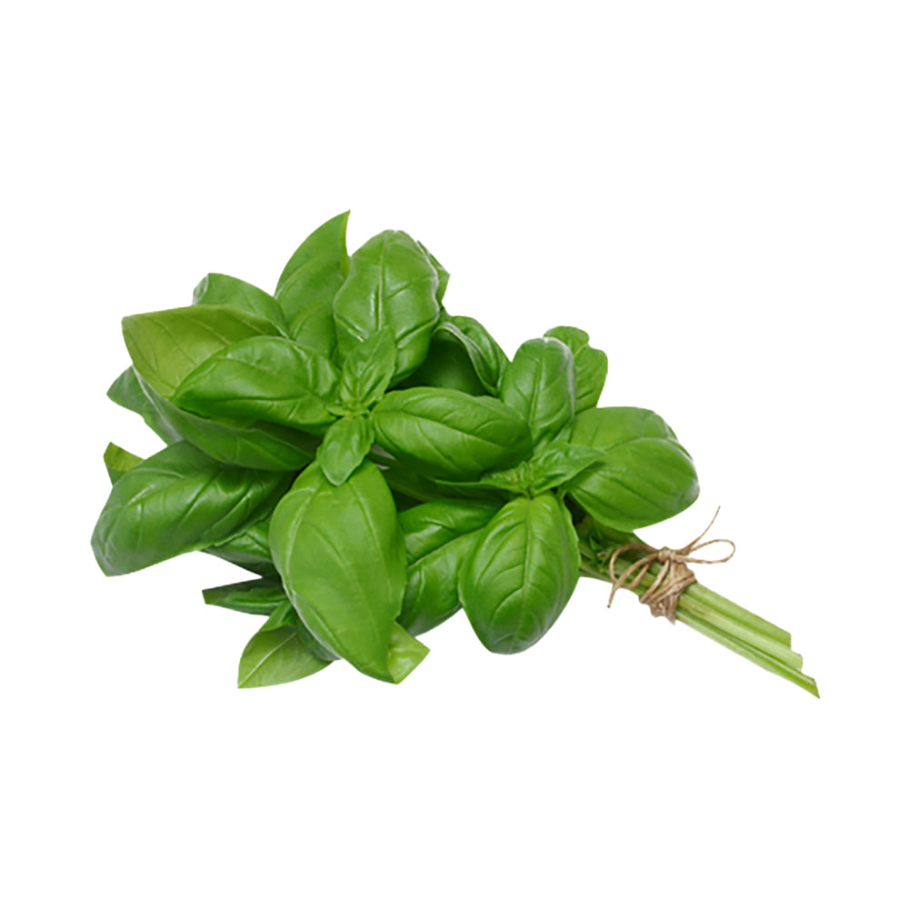 Basil 1ea