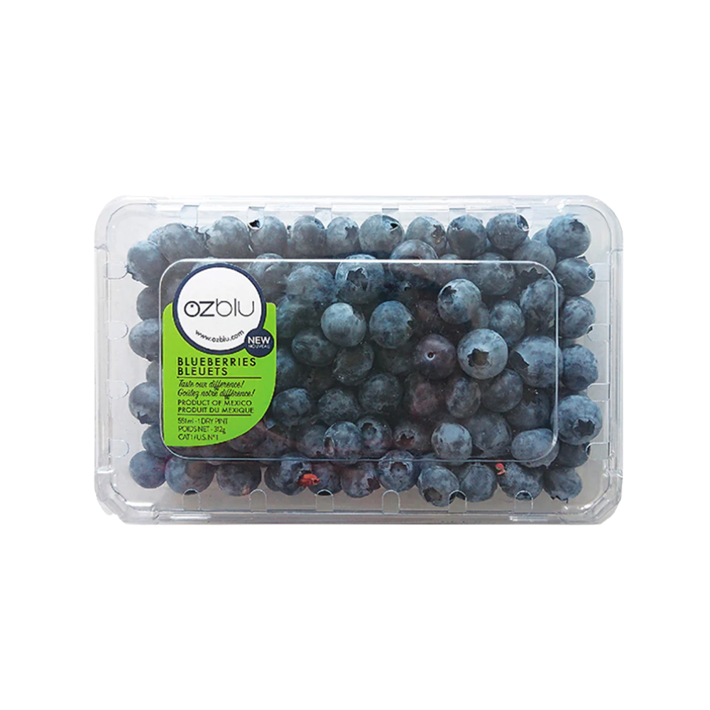 Blueberries Jumbo 12oz