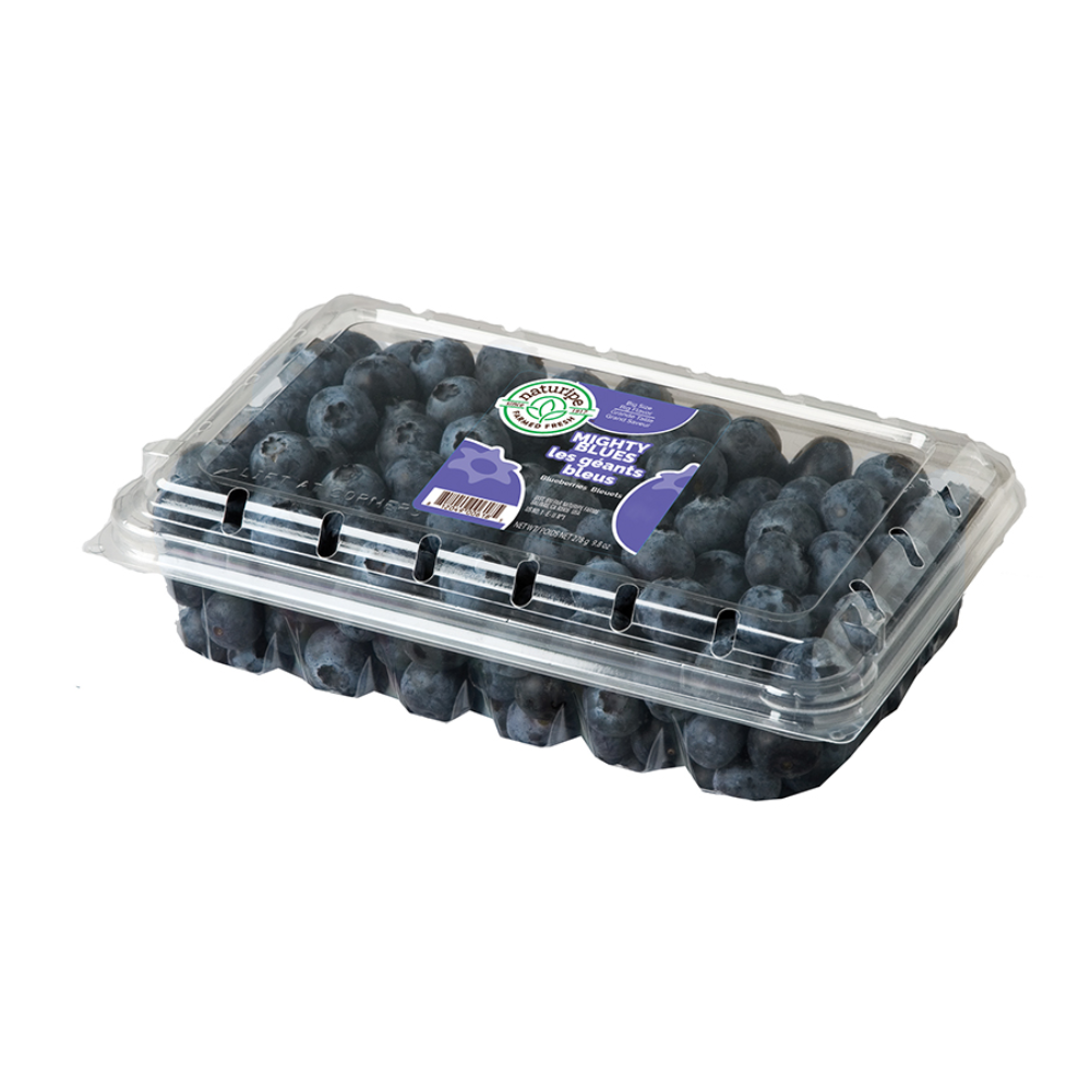 Blueberries Jumbo Mighty Blues 1ea