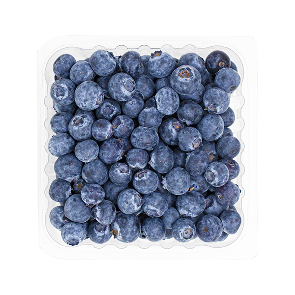 Blueberries Organic 6oz