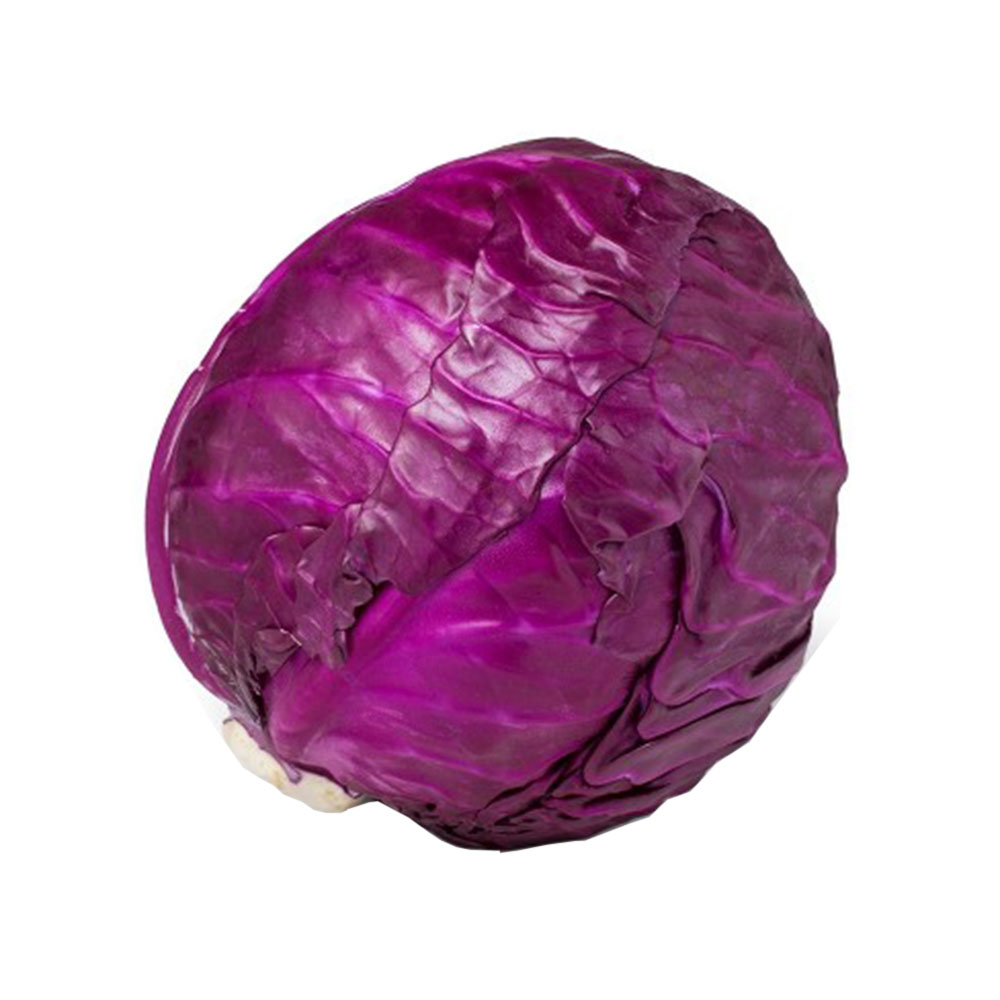 Cabbage Red Ontario 1ea