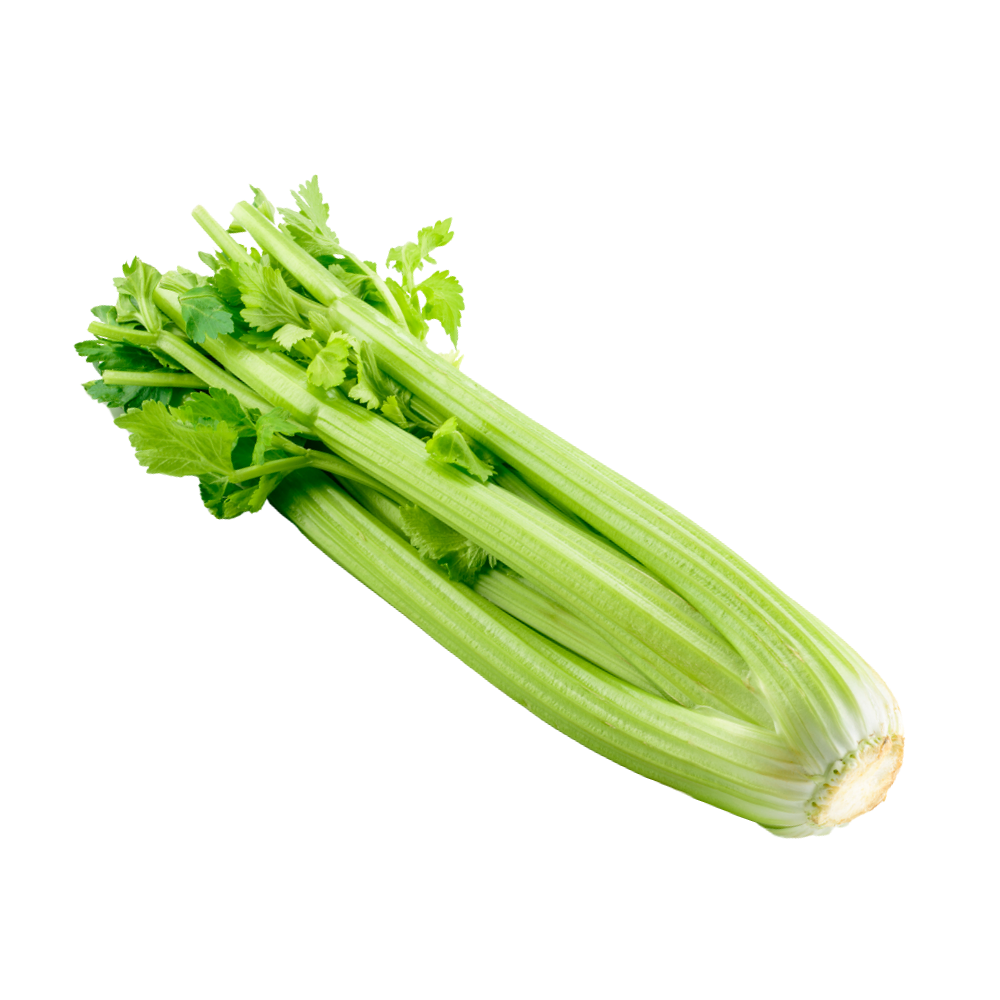 Celery Organic 1ea