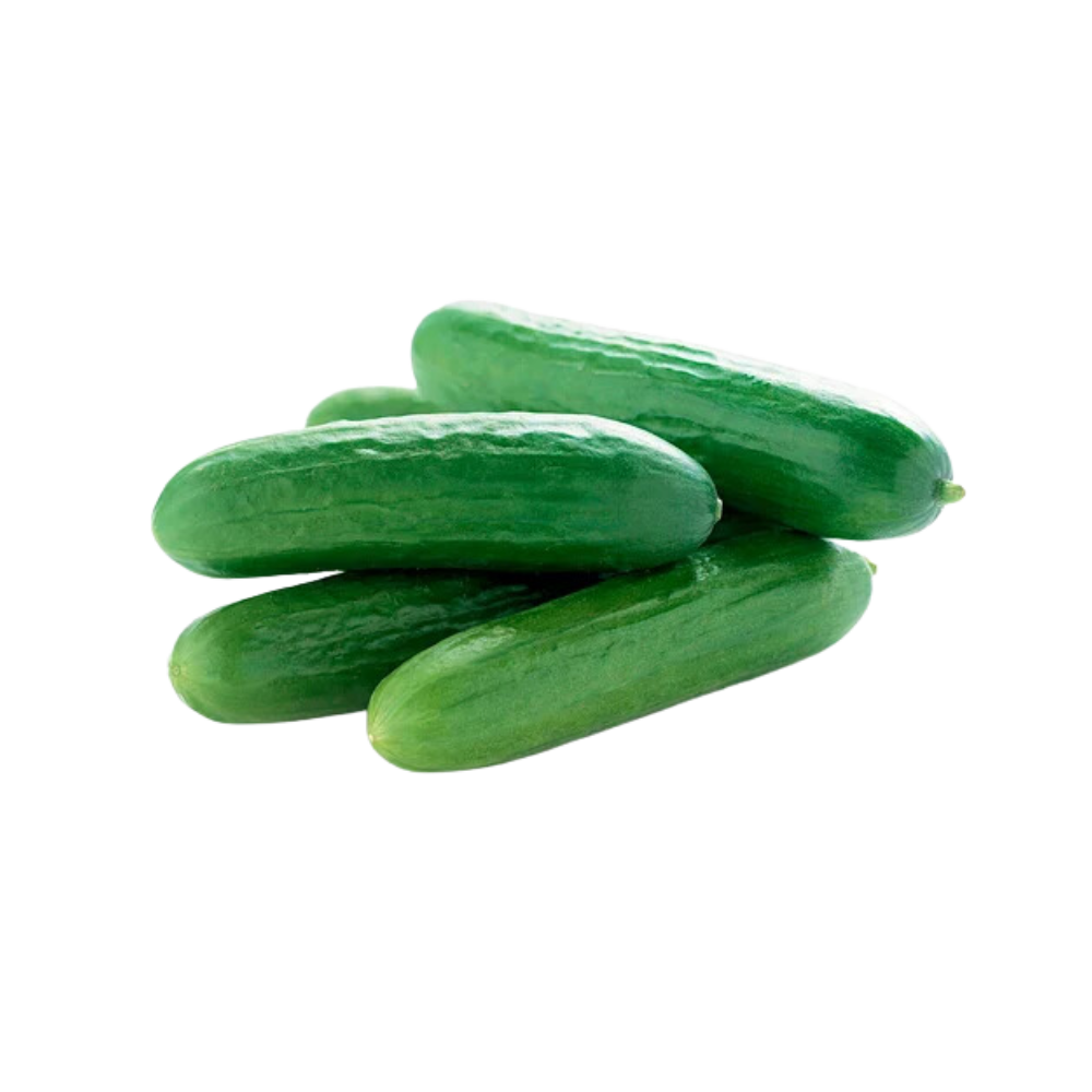 Cucumbers Mini 6pk