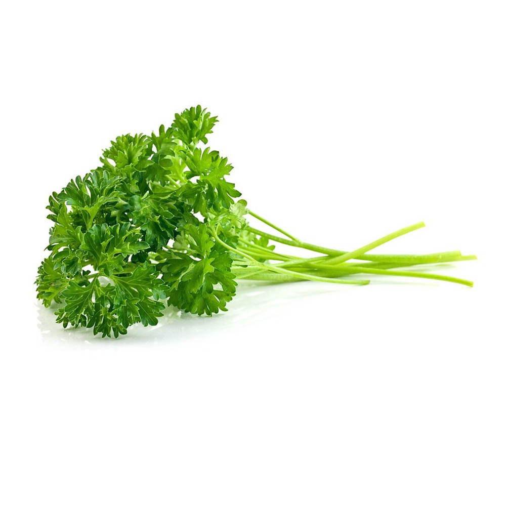Curly Parsley Bunch 1ea