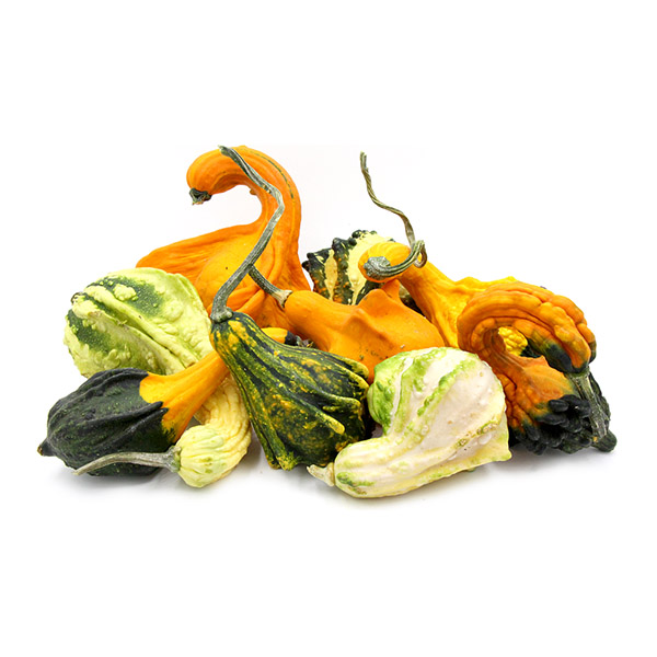 Decorative Gourds 1lb