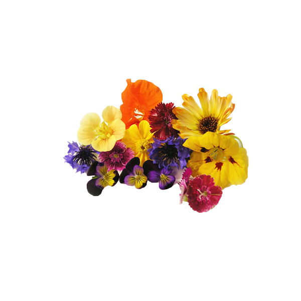 Edible Flowers 1ea