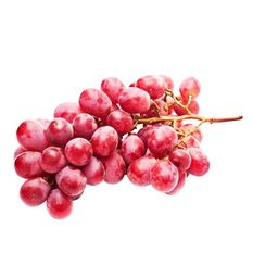 Grapes Red Seedless Organic 1lb