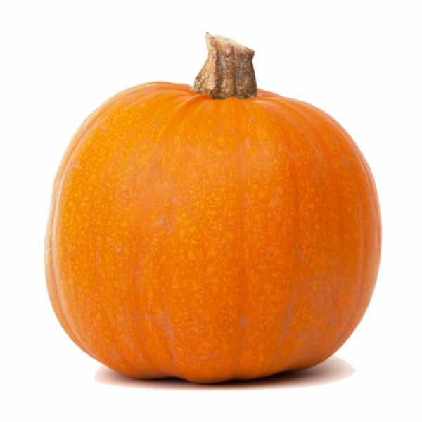 Jumbo Pumpkin 1ea