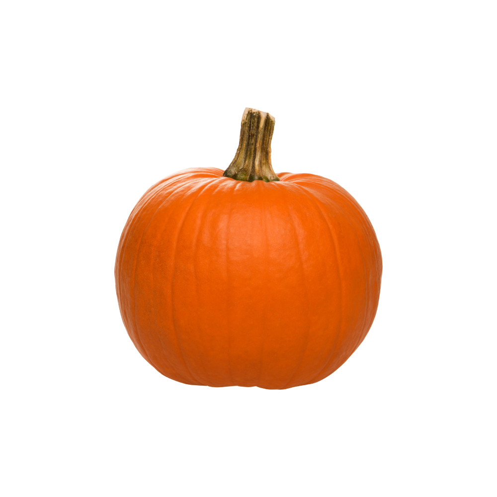 Large Pumpkin 1ea