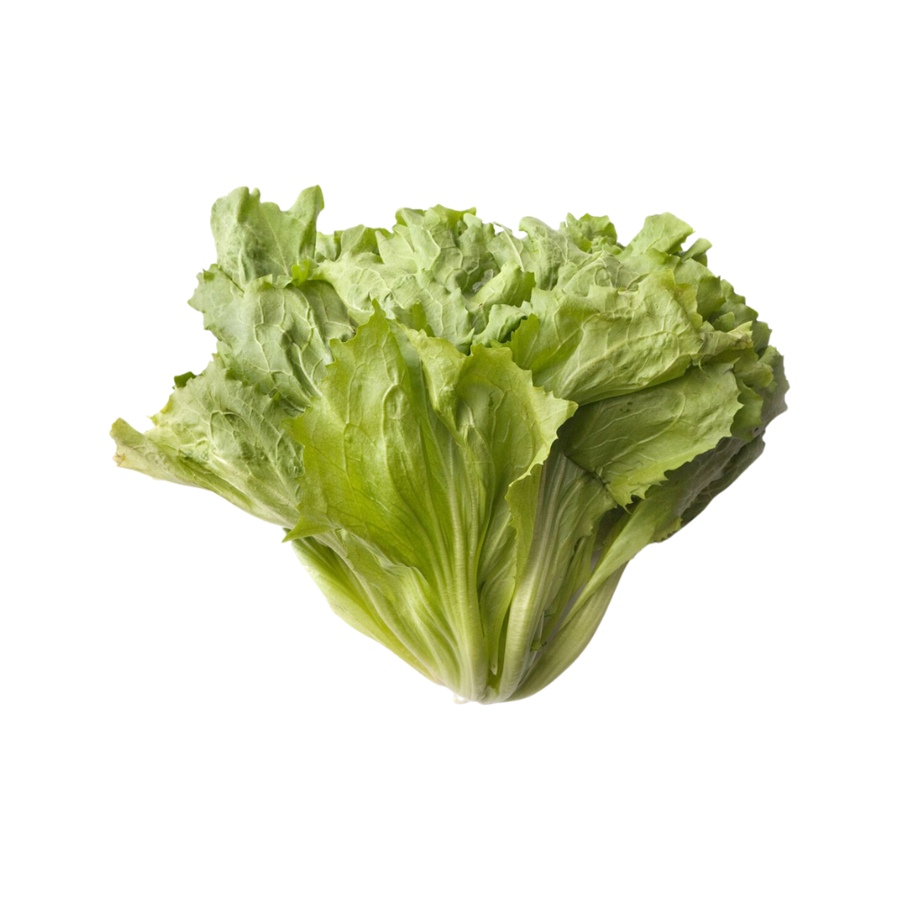Lettuce Escarole 1ea