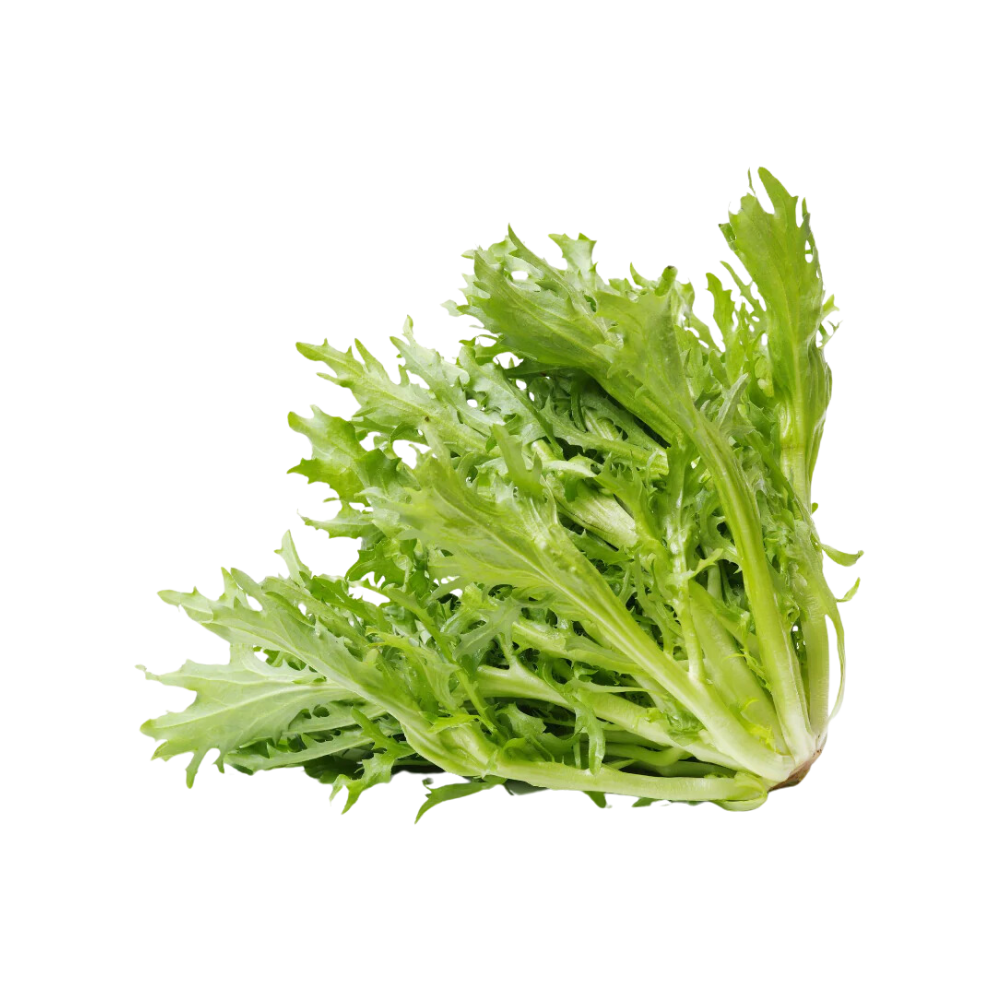 Lettuce Frisee 1ea