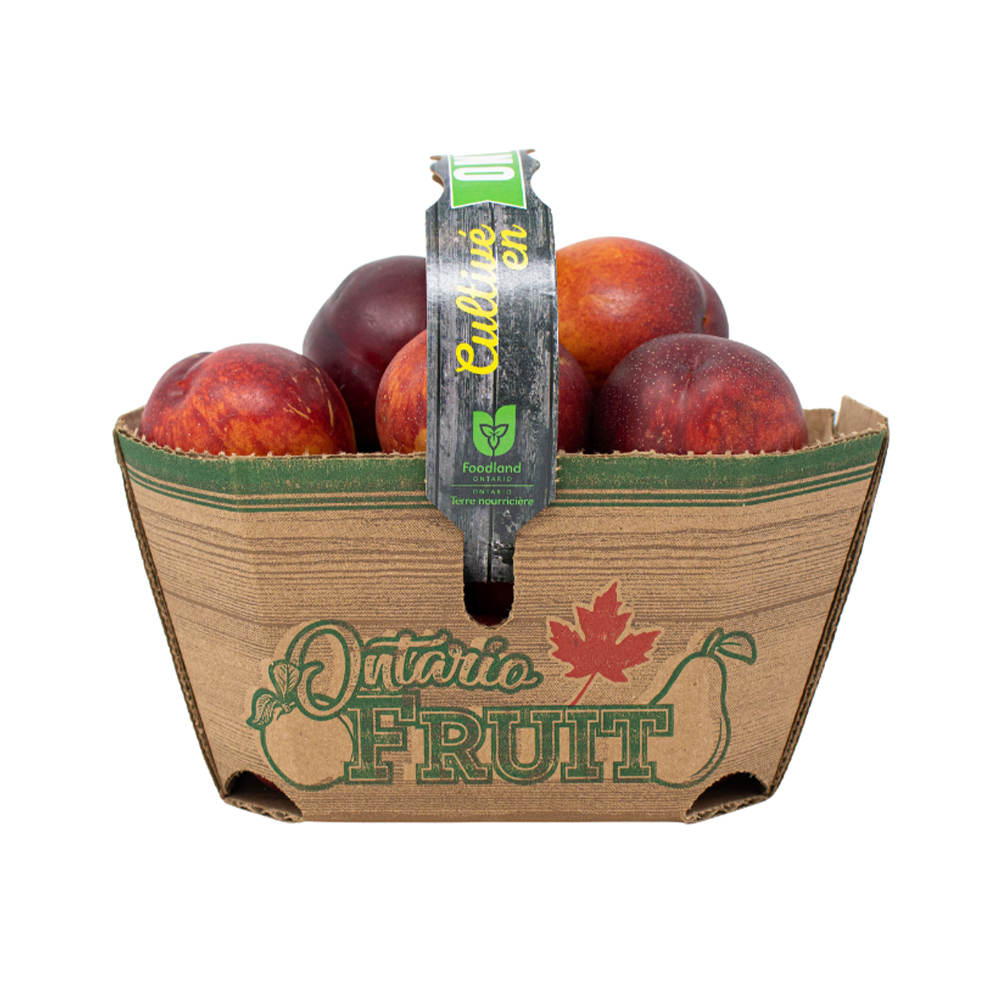 Local Ontario Basket Nectarines 3lt