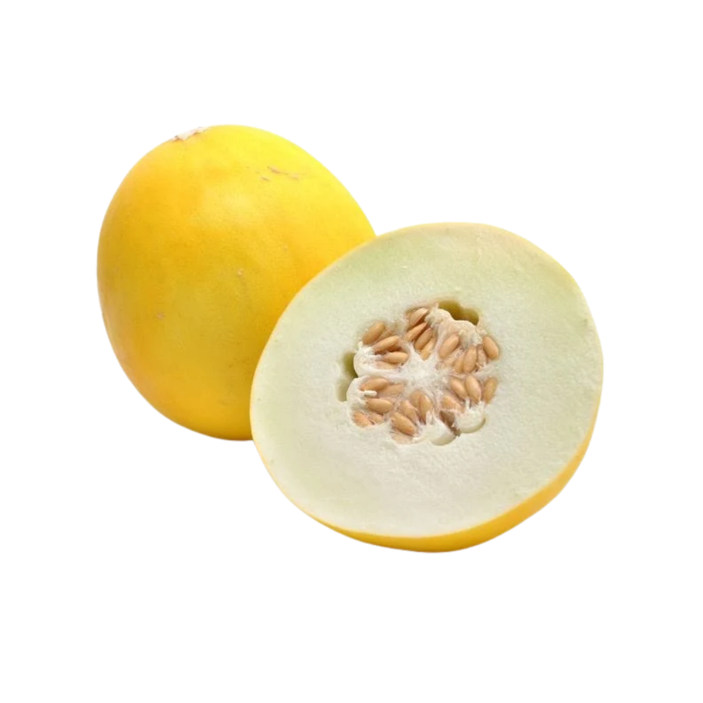 Melon Honeydew Golden 1ea