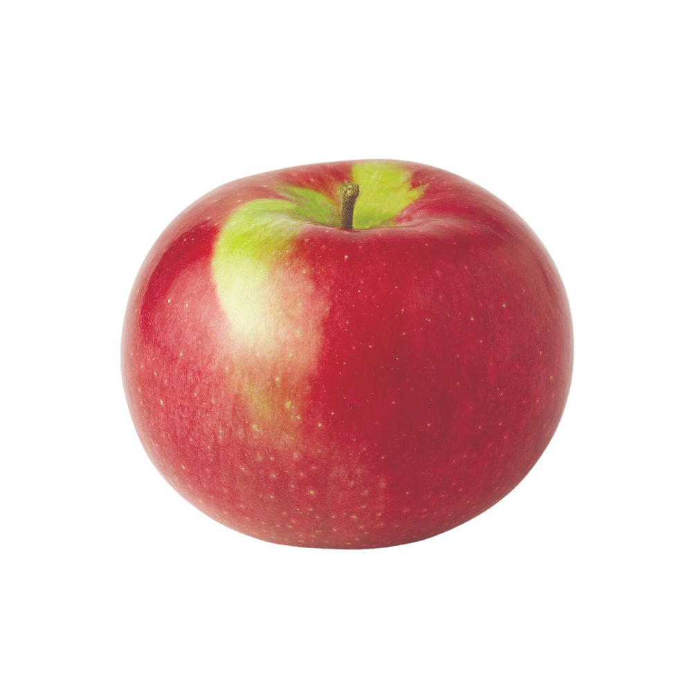 Ontario Macintosh Basket 3lt