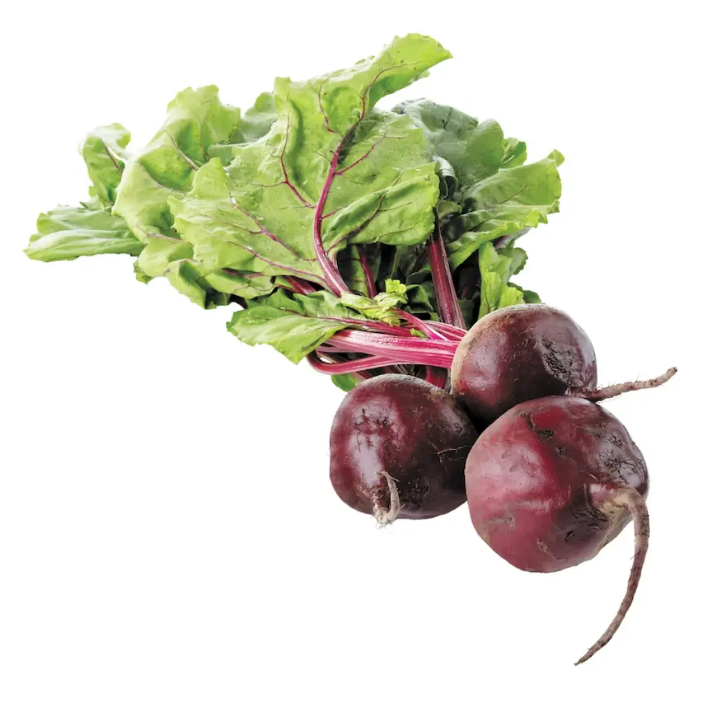 Ontario Organic Beets Bunch 1ea