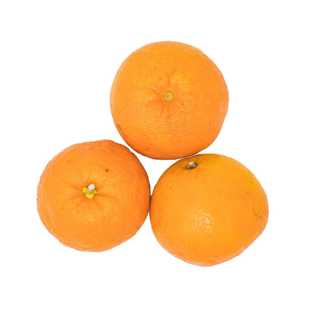 Oranges Seville 1lb
