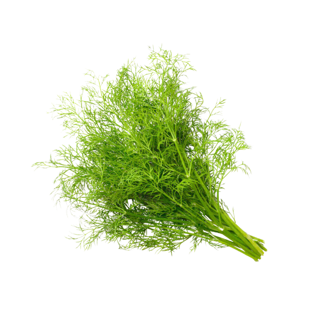Organic Dill 1ea