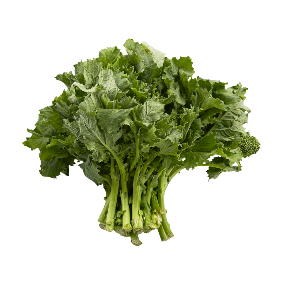 Organic Rapini 1ea