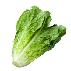 Organic Romaine Lettuce 1ea
