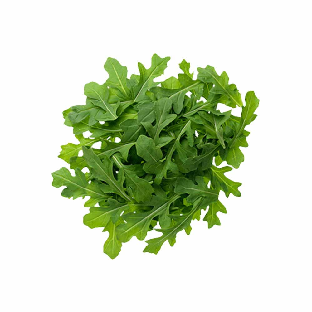 Organic Wild Arugula 1lb